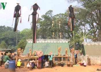 자라이 (Jarai) 민족의 독특한 퍼티 (Pơ Thi)축제