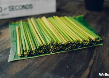 베트남 친환경 제품 쏫아내고 있다