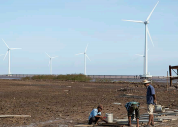 베트남의 재생 에너지 개발 확대