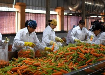 베트남 농산물 수출 확대한다