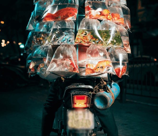 세계적인 사진 컨테스트 대상