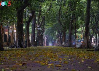 배트남 하노이 현지 거리