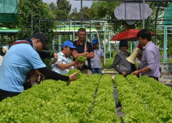 베트남 관광 프로그램 개발