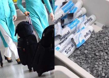 베트남 승무원, 마약 운반 혐의 체포