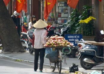 하노이국립대학교, 세계대학 순위 649위