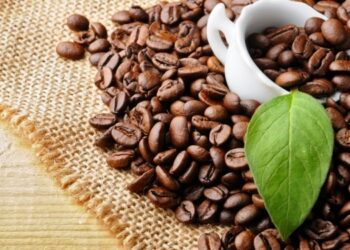 2023~2024 베트남 커피 수출액 50억달러 돌파